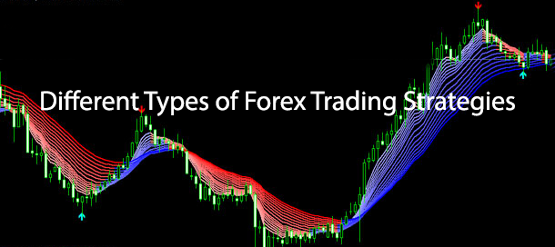 Types of traders forex